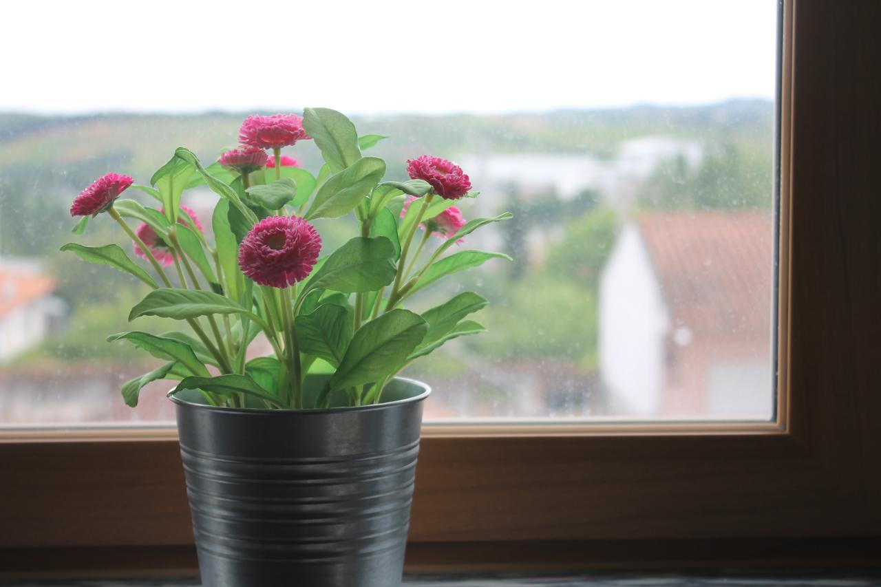 Maria Violeta Tourism Apartment Cadaval Eksteriør billede